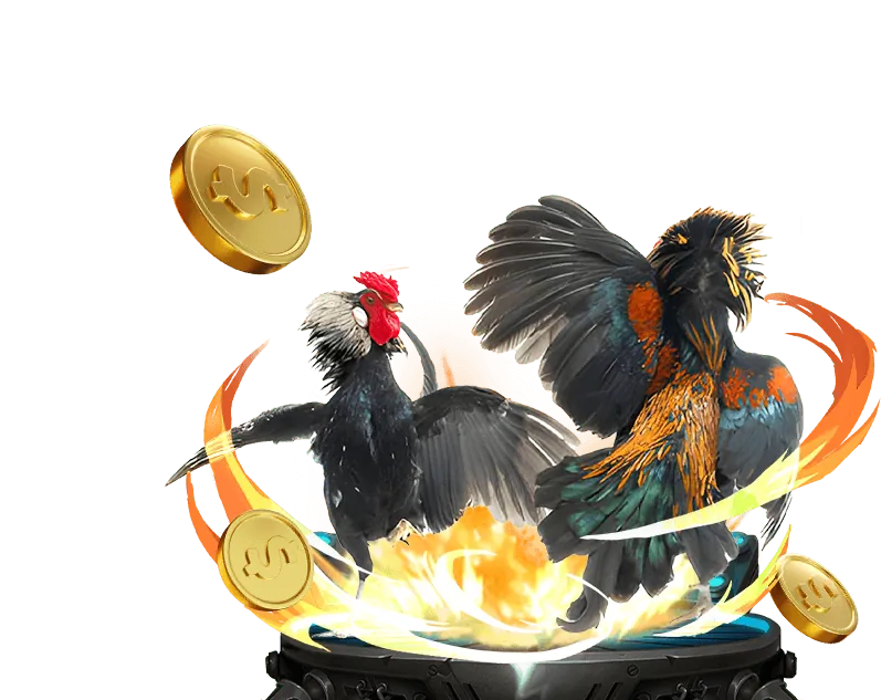 Tầm nhìn và sứ mệnh đá gà hôm nay